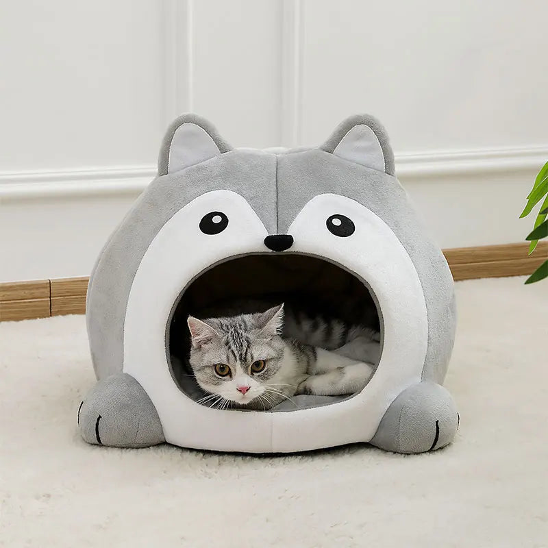 Kattenkussen kat