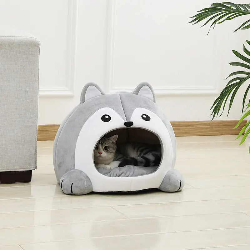 Kattenkussen kat