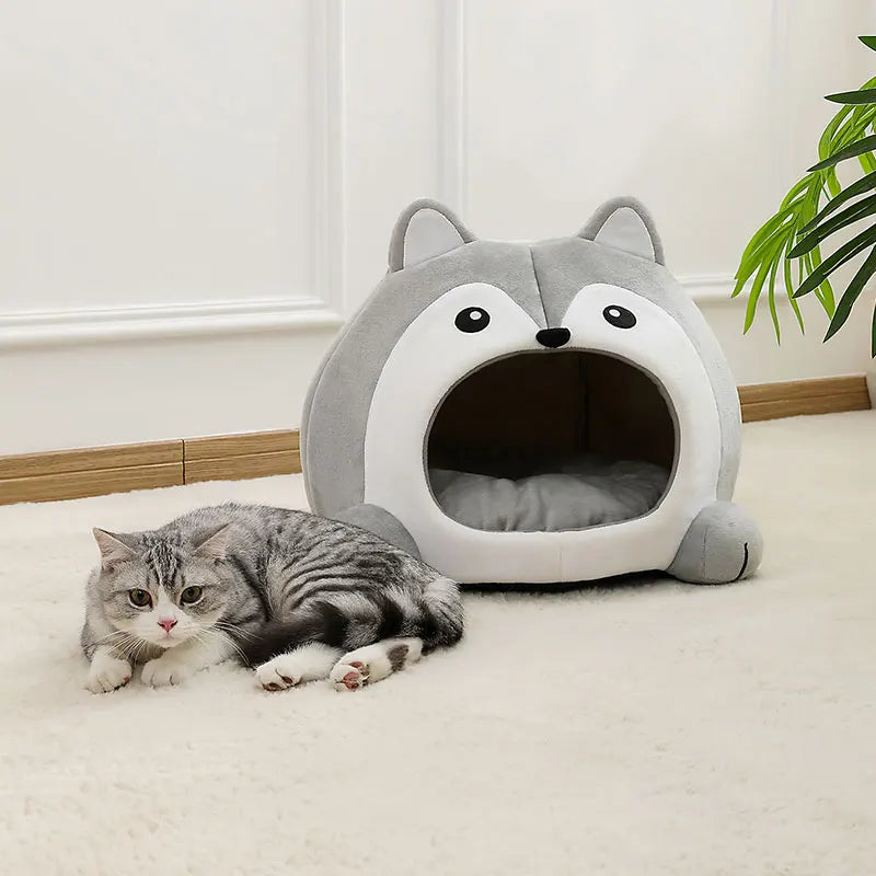 Kattenkussen kat