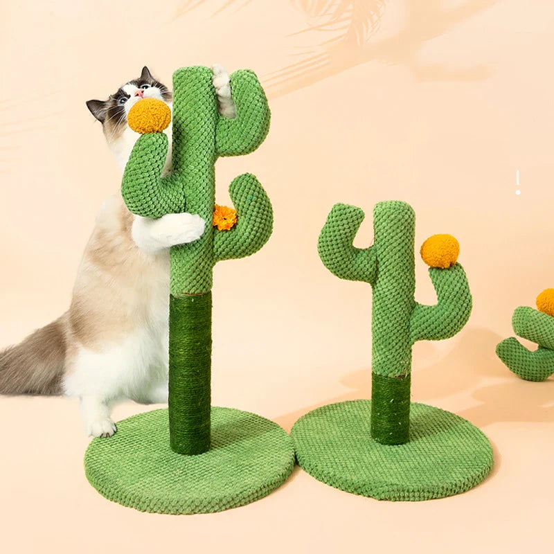 Krabpaal cactus