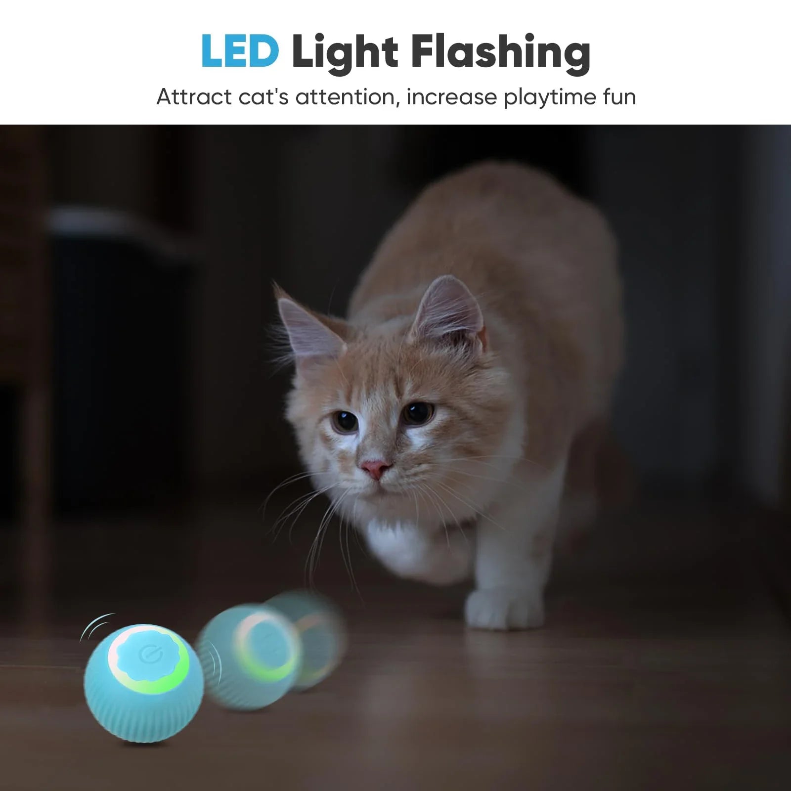 Kattenbal electronisch