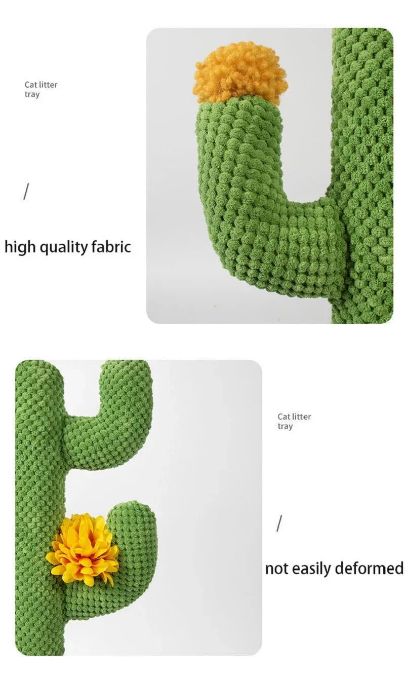 Krabpaal cactus