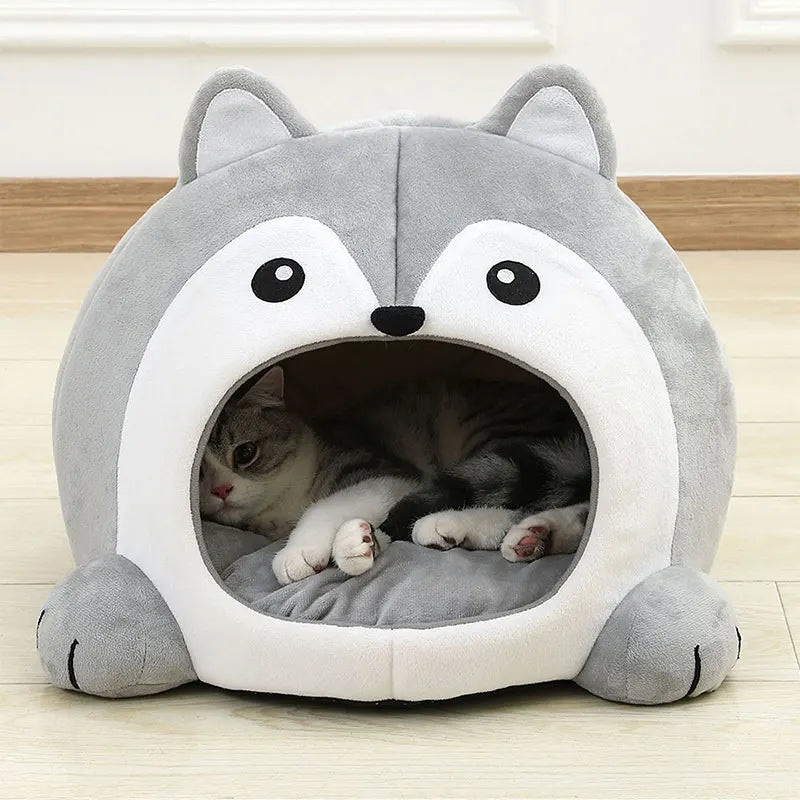 Kattenkussen kat